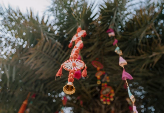 Sai Sudha Lawns party plot photo